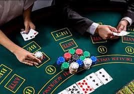 Tema kelinci slot di 511